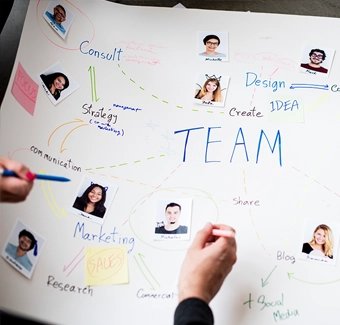 Plánování a struktura týmu